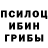 Псилоцибиновые грибы мицелий Inna Alisina