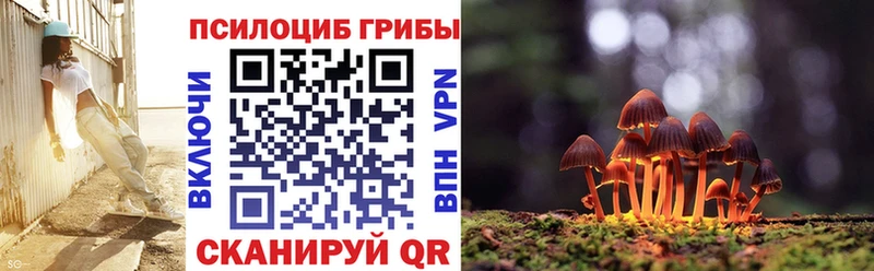 Псилоцибиновые грибы Psilocybe Лыткарино