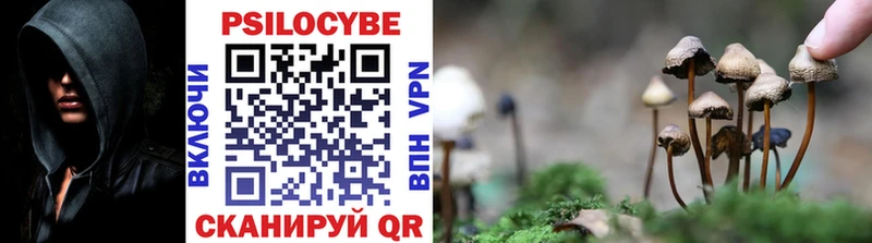 Купить закладки  Лыткарино  Псилоцибиновые грибы ЛСД 